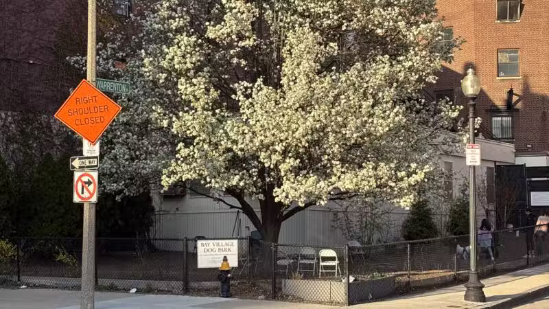 Bay Village Dog Park - Boston, MA