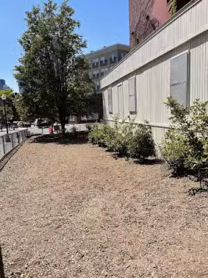 Bay Village Dog Park - Boston, MA