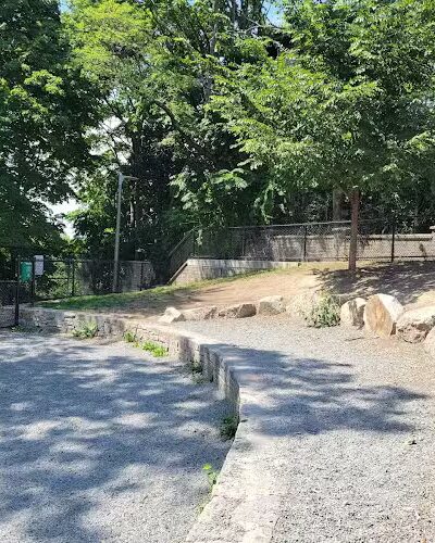 Dog Park at Downer Avenue Park - Boston, MA