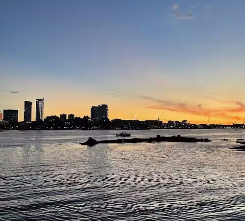 Dog Park - Boston, MA