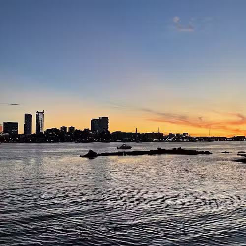 Dog Park - Boston, MA