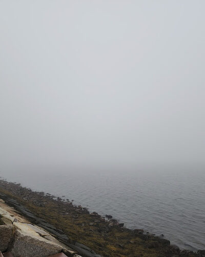 Harbor Point Dog Park - Boston, MA