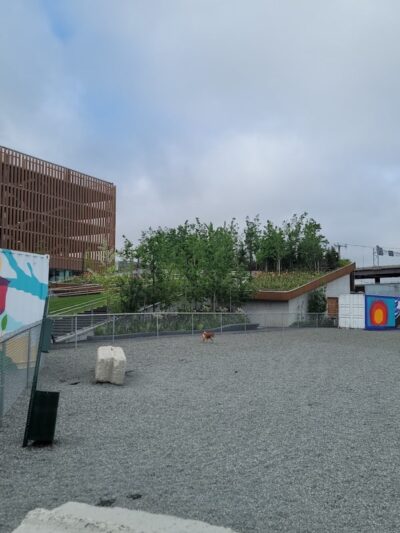 Hood Park Dog Playground - Boston, MA