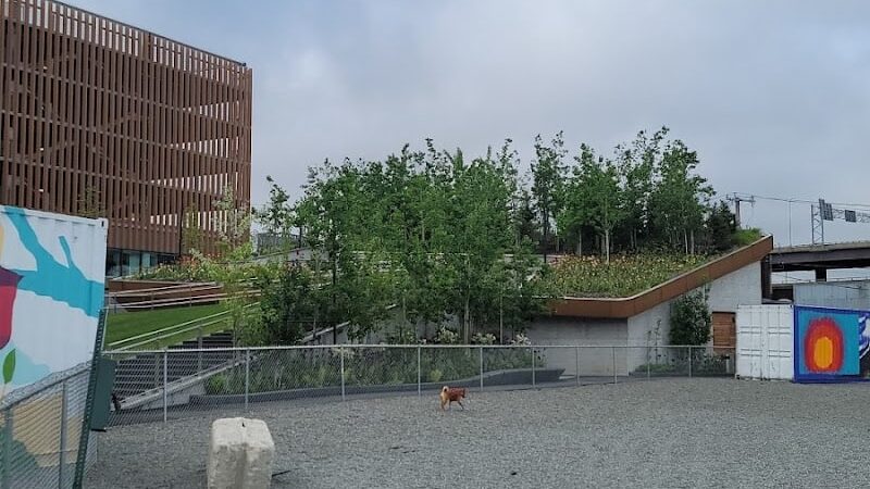 Hood Park Dog Playground - Boston, MA