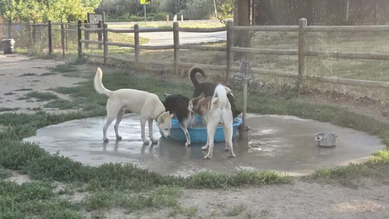 Valmont Dog Park - Boulder, CO