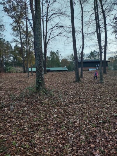 Bowman Nature Park - Bowman, SC