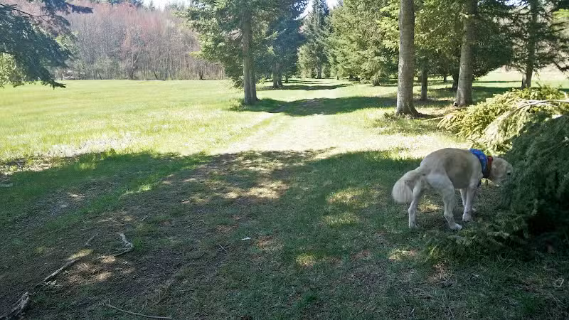 Beaver Brook Meadow / Steele Farm - Boxborough, MA