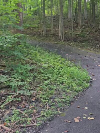 Earl Township Park - Boyertown, PA