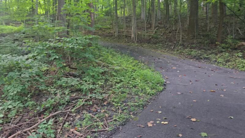 Earl Township Park - Boyertown, PA