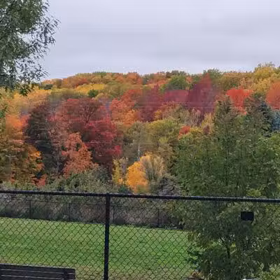 Ridge Run Dog Park - Boyne City, MI