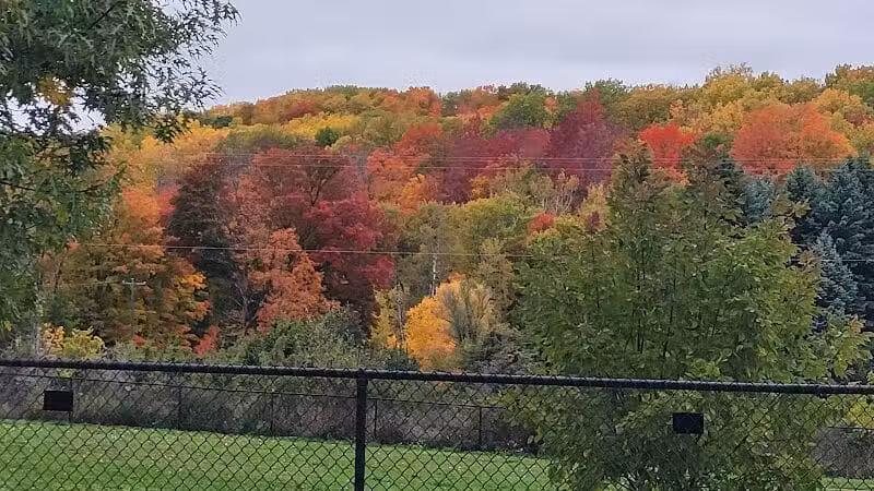 Ridge Run Dog Park - Boyne City, MI