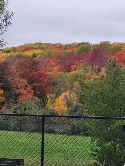 Ridge Run Dog Park - Boyne City, MI
