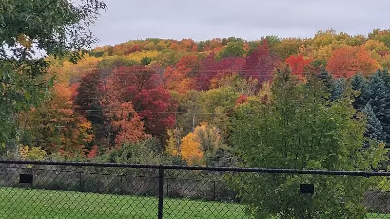 Ridge Run Dog Park - Boyne City, MI