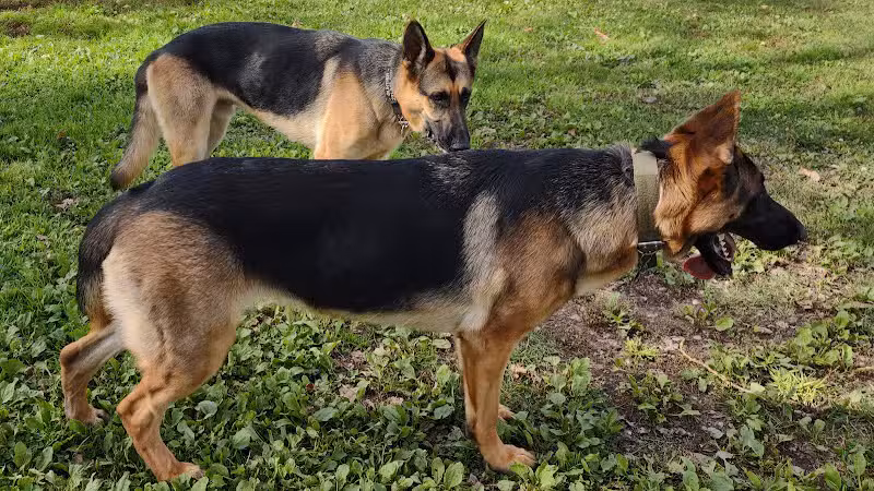 Ridge Run Dog Park - Boyne City, MI