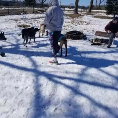 Ridge Run Dog Park - Boyne City, MI