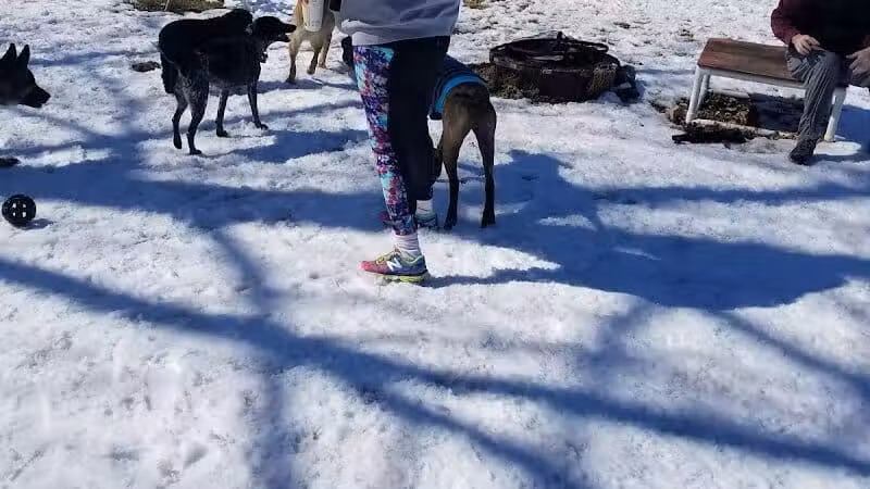 Ridge Run Dog Park - Boyne City, MI