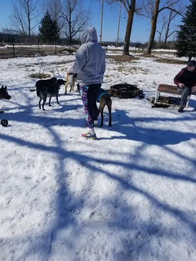 Ridge Run Dog Park - Boyne City, MI