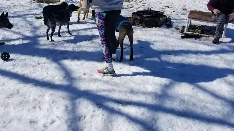 Ridge Run Dog Park - Boyne City, MI