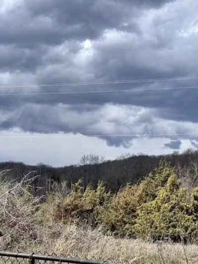 Ridge Run Dog Park - Boyne City, MI