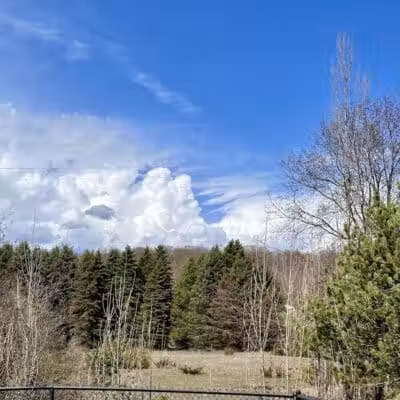 Ridge Run Dog Park - Boyne City, MI