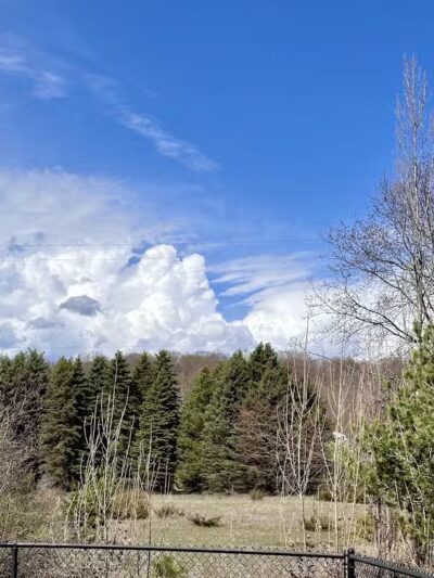 Ridge Run Dog Park - Boyne City, MI