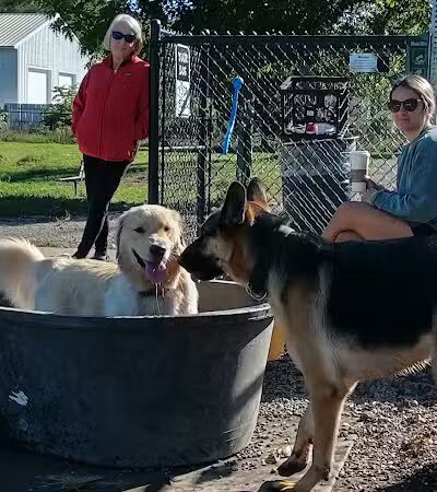 Ridge Run Dog Park - Boyne City, MI