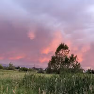 Dog Park At Gallatin County Regional Park (13 Acre w Pond) - Bozeman, MT