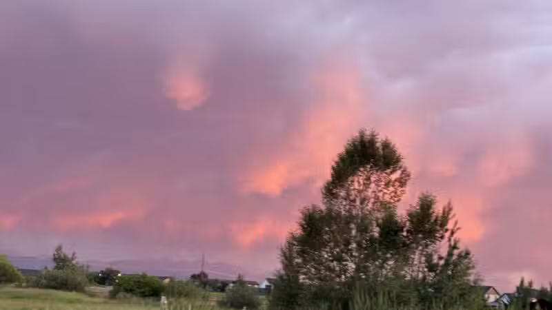 Dog Park At Gallatin County Regional Park (13 Acre w Pond) - Bozeman, MT
