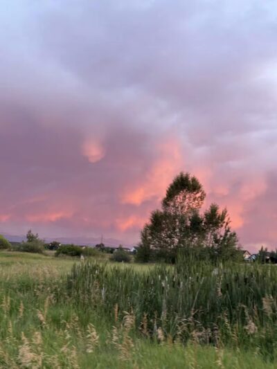Dog Park At Gallatin County Regional Park (13 Acre w Pond) - Bozeman, MT