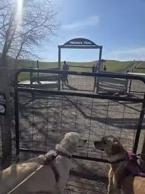 Snowfill - Bozeman, MT