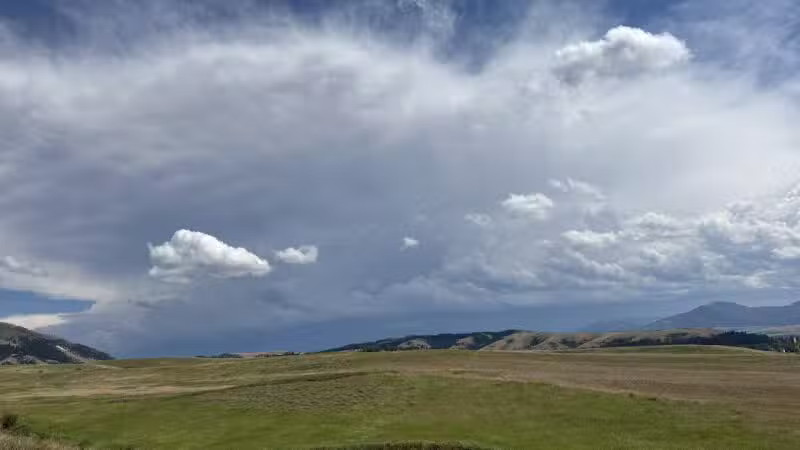 Snowfill - Bozeman, MT