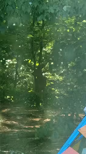 Bradford - Bradford, ME