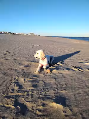 Bradley Beach - Bradley Beach, NJ