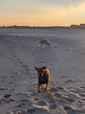 Fourth Avenue Beach - Bradley Beach, NJ