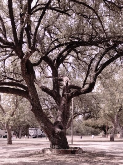 Brady Creek Park - Brady, TX