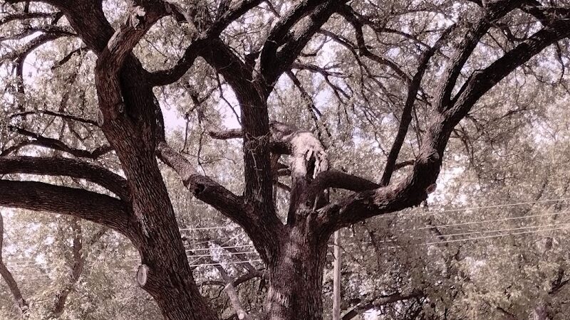 Brady Creek Park - Brady, TX