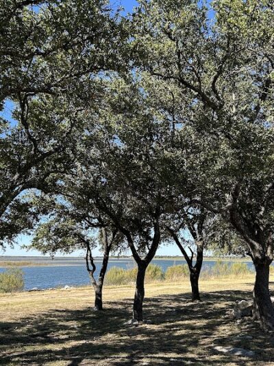 Brady Lake Park - Brady, TX