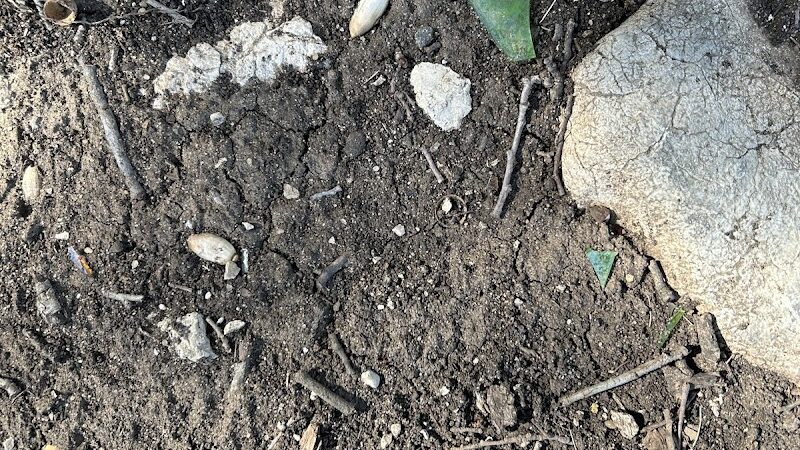 Brady Lake Park - Brady, TX