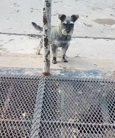 Earnest O. Martin Park - Brady, TX