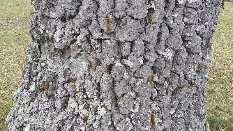 Baldwin Roadside Park MDOT - Branch Township, MI