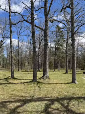 Baldwin Roadside Park MDOT - Branch Township, MI