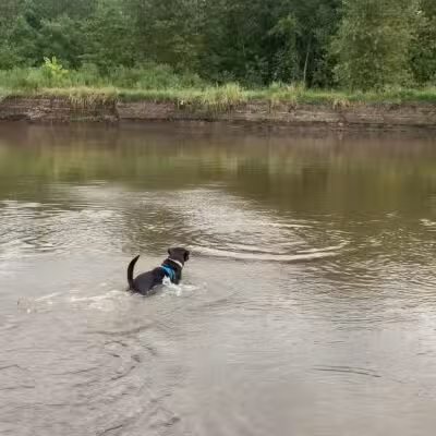 Big Sioux Recreation Area Dog Training Park - Brandon, SD