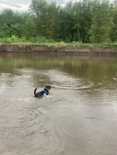 Big Sioux Recreation Area Dog Training Park - Brandon, SD