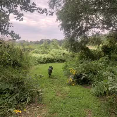 Big Sioux Recreation Area Dog Training Park - Brandon, SD