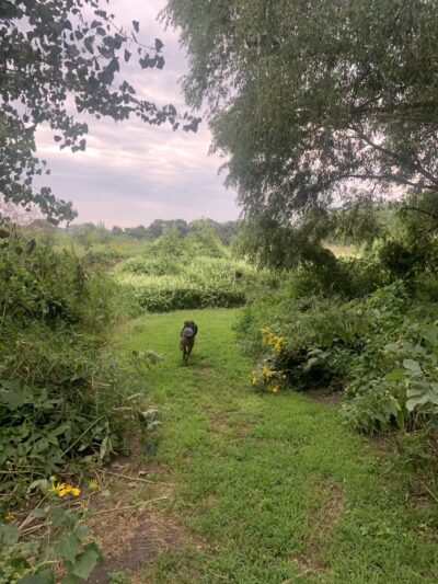 Big Sioux Recreation Area Dog Training Park - Brandon, SD