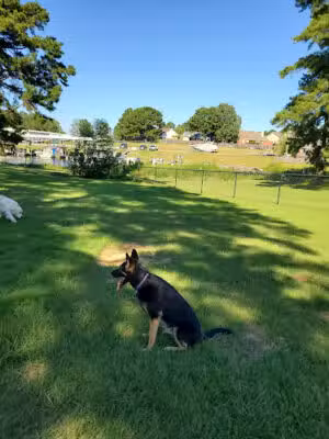 Dog Park at Lakeshore Park - Brandon, MS