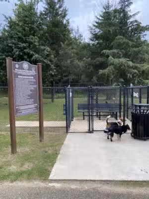 Pavilion Dog Park - Brandon, MS
