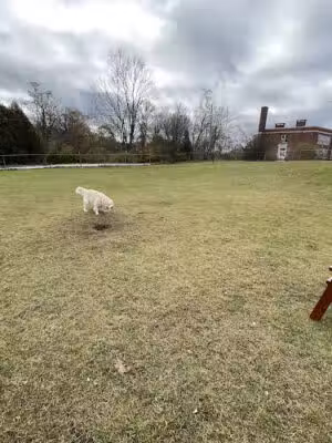 Brandon Dog Park - Brandon, VT