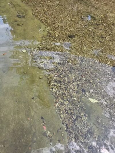 Elmo & Rosalea Marrs Memorial Dog Park - Branson, MO