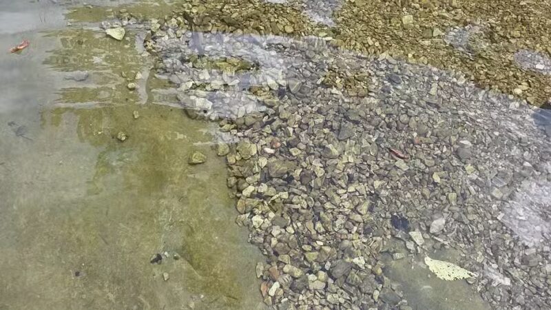 Elmo & Rosalea Marrs Memorial Dog Park - Branson, MO